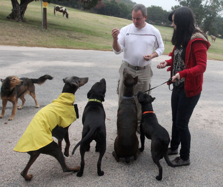 United Way - Emancipet